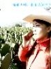 世界那么大的图片