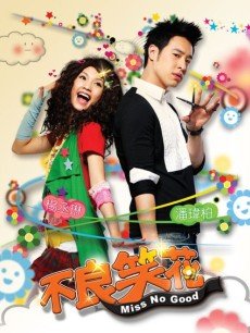 不良笑花海报